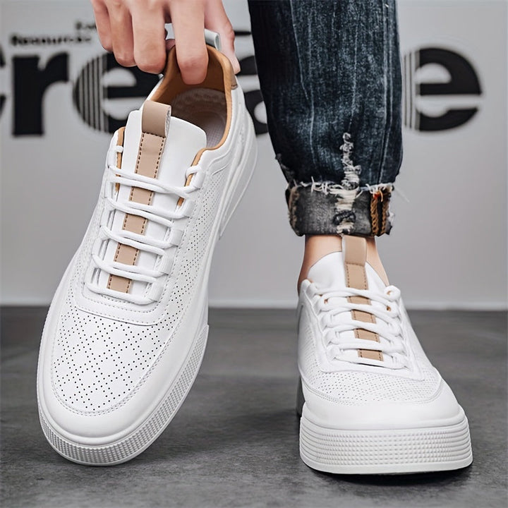 Albert | SkateComfort Pro-Schuhe